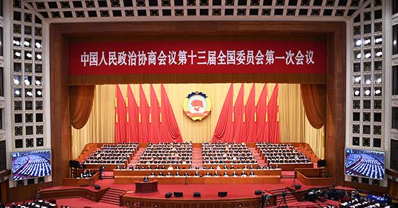 全國政協(xié)委員詹純新：企業(yè)走出去要“做主、做深、做透”
