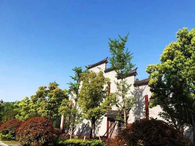 二審期間取得建設(shè)工程規(guī)劃許可證，仍可判施工合同有效！